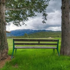Ideal Location