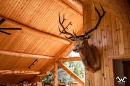 Lucky River Cabin - Image 5